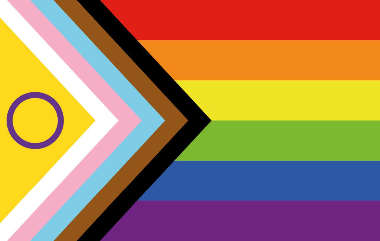 The Progress Pride flag, also sometimes called the Intersex-Inclusive Progress Pride flag, is a variation of the traditional rainbow pride flag that incorporates additional elements to represent marginalized groups within the LGBTQ+ community. It includes the six-stripe rainbow, the transgender flag colors (light blue, pink, and white), and brown and black stripes to represent people of color and those living with HIV/AIDS. Additionally, it features a yellow chevron with a purple circle to represent intersex individuals. 